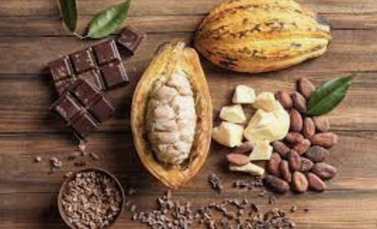 Cocoa Beans in pods on wooden table